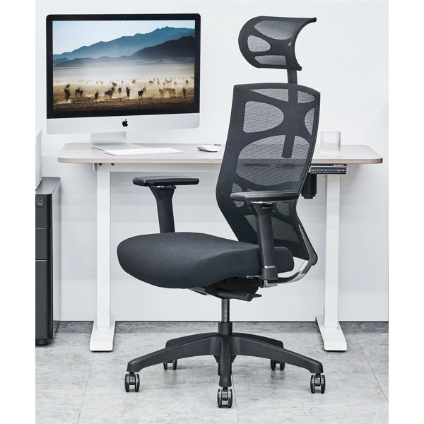 Inbox Zero Ergonomic Mesh Executive Chair Wayfair